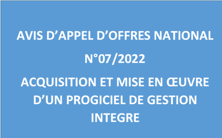 ACQUISITION ET MISE EN ŒUVRE D’UN PROGICIEL DE GESTION INTEGRE